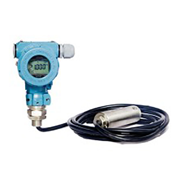 FHLT02 Diffusive Silicon Level Transmitter